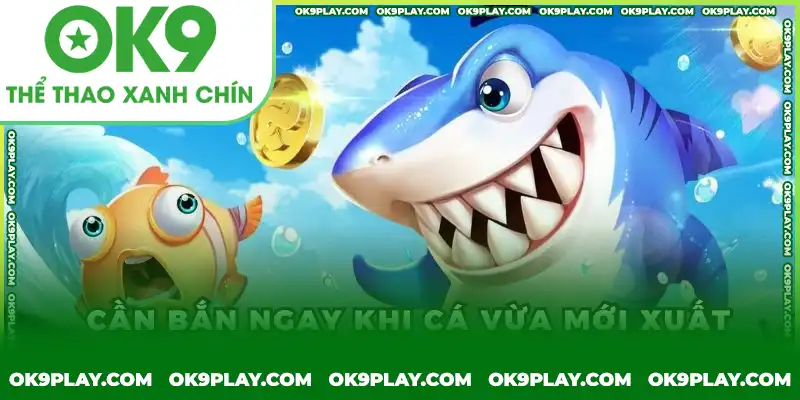 Mẹo chơi Bắn cá H5 hiệu quả